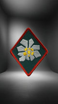 Gebirgsjägerbrigade 23 Raute