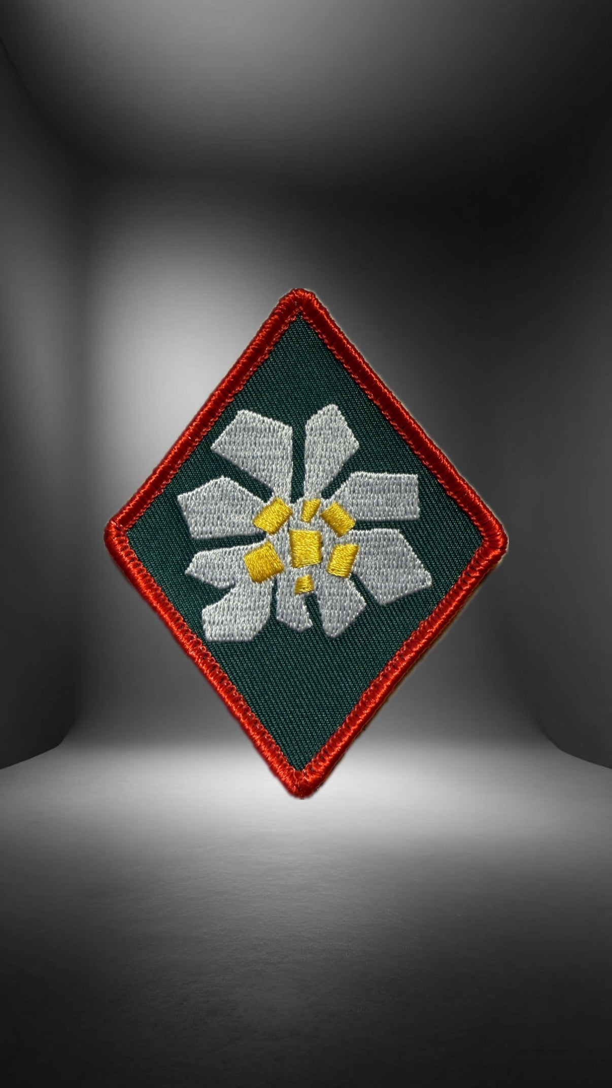 Gebirgsjägerbrigade 23 Raute